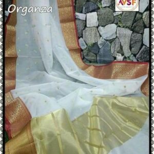 Charvi Fabulous Sarees