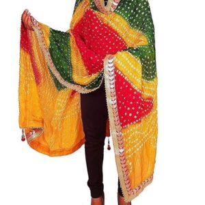 Elegant Stylish Women Dupattas