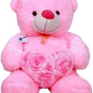 2 feet cute illustrious fabolous pre-eminate American Style Fashionable Fott Pink Teddy Bear – 24 inch