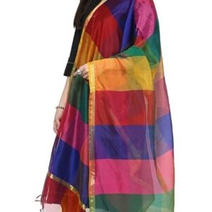 Banarasi Chanderi Silk Attractive Dupatta