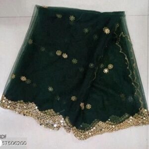 MIRROR DUPATTA