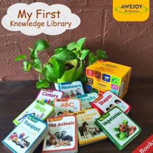 AWEJOY My First Knowledge Library Box set of 10 Board Books for Kids, Preschool Kids Book, Children growth and development book Board book – 30 September 2023