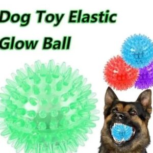 RS Pet SHOP Puppy Dog Cat Rubber Balls Toys Accessories with Sound and Flash LED Light