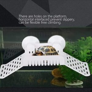 Turtle Stand Basking for dryness or rest space in Aquarium