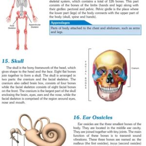 221 Human Body Parts Encyclopedia | By S (Paperback,