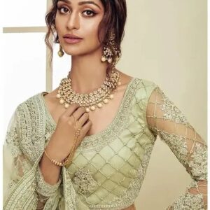 NEW CHAIN WORK LEHENGA
