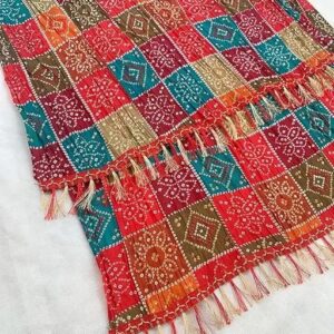Patola Print Dupatta – Traditional Art Silk Dupattas for Women…