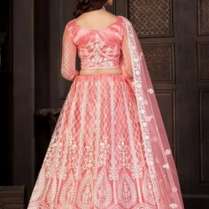 Women’s Embroidered Semistitched Lehenga Choli for women’s up to 2xl / havy lehenga / wdding lejhenga / lehenga choli for women/ designer lehenga/ embrodery lehenga / bridal lehenga.